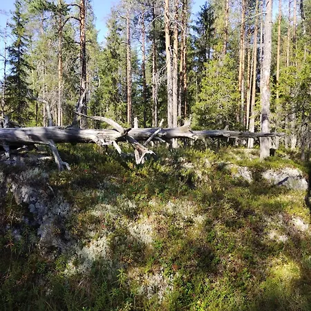 Penzion Maaseudulla Arctic