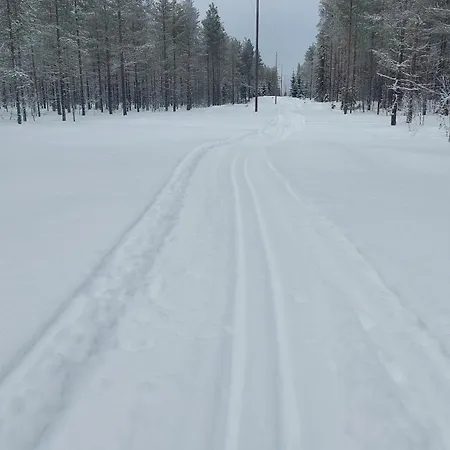 Arctic *