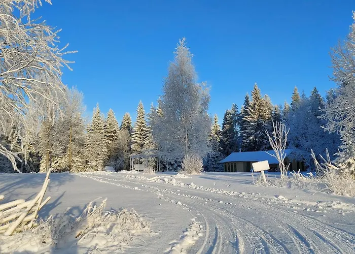 Pensionat Maaseudulla Arctic Sotkamo